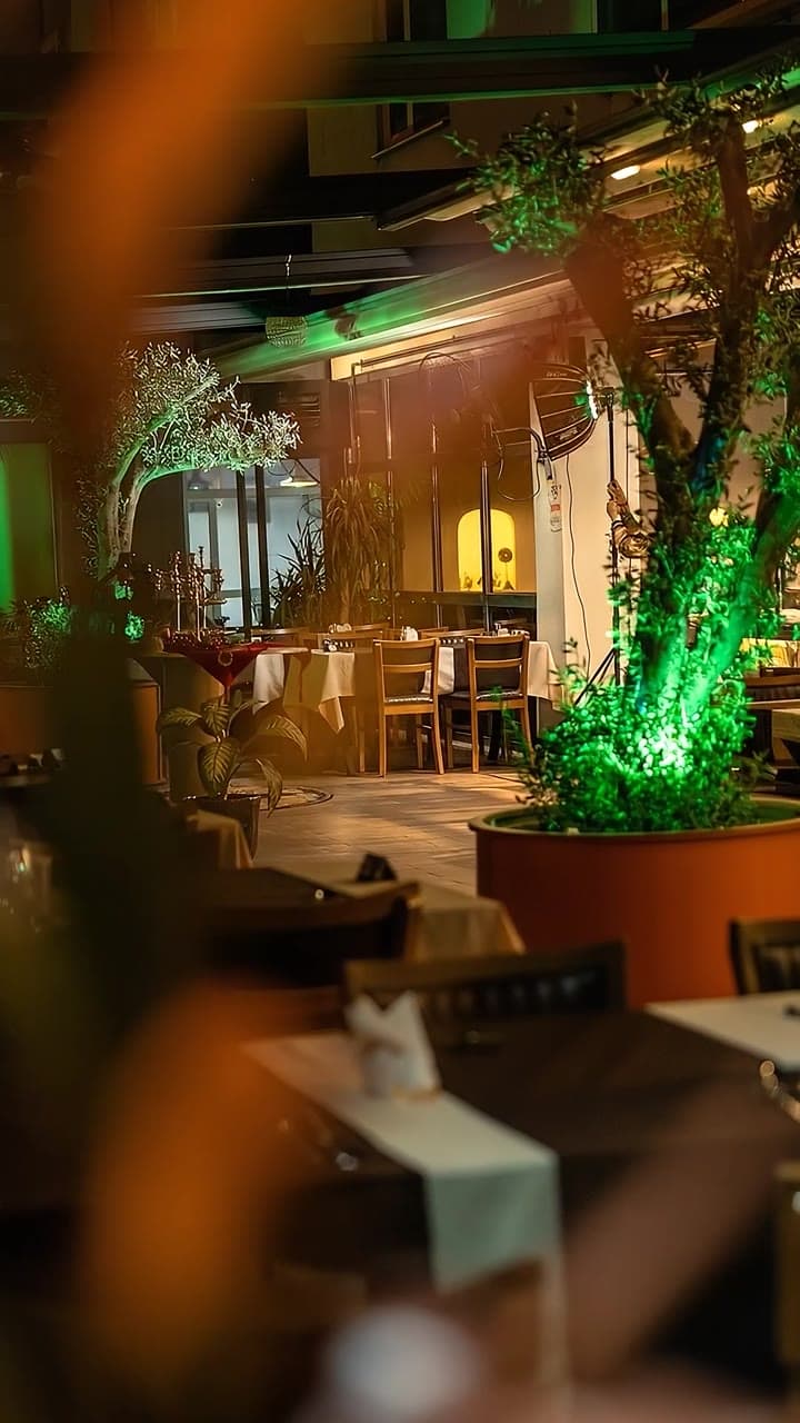 Night restaurant terrace surrounded by warm light and plants